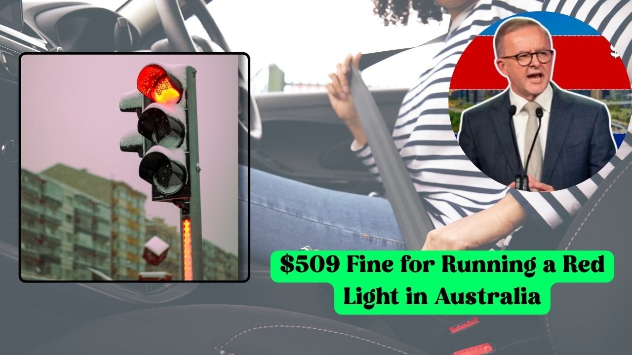 $509 Fine for Running a Red Light in Australia Rules, Risks & Real Consequences