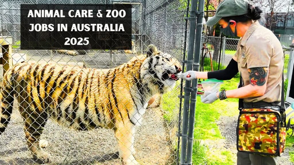 Animal Care & Zoo Jobs in Australia 2025 – Apply Today