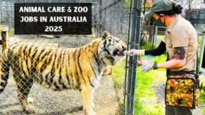 Animal Care & Zoo Jobs in Australia 2025 – Apply Today