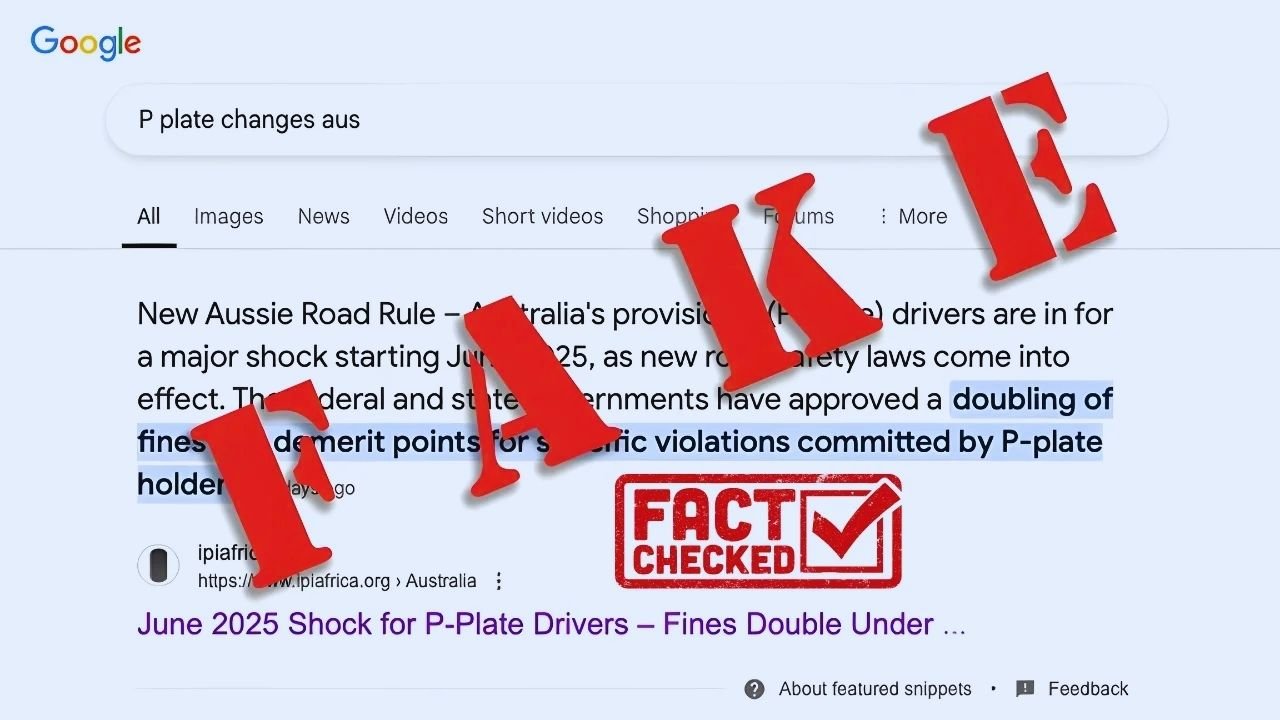 Fact Check 2025