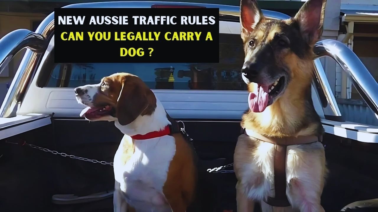 New Aussie Traffic Rules 2025